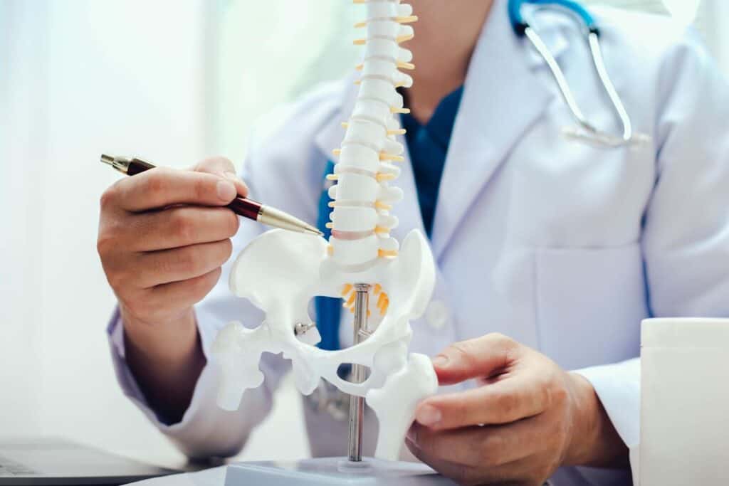 Chiropractor pointing at spine model | What does a chiropractor do?