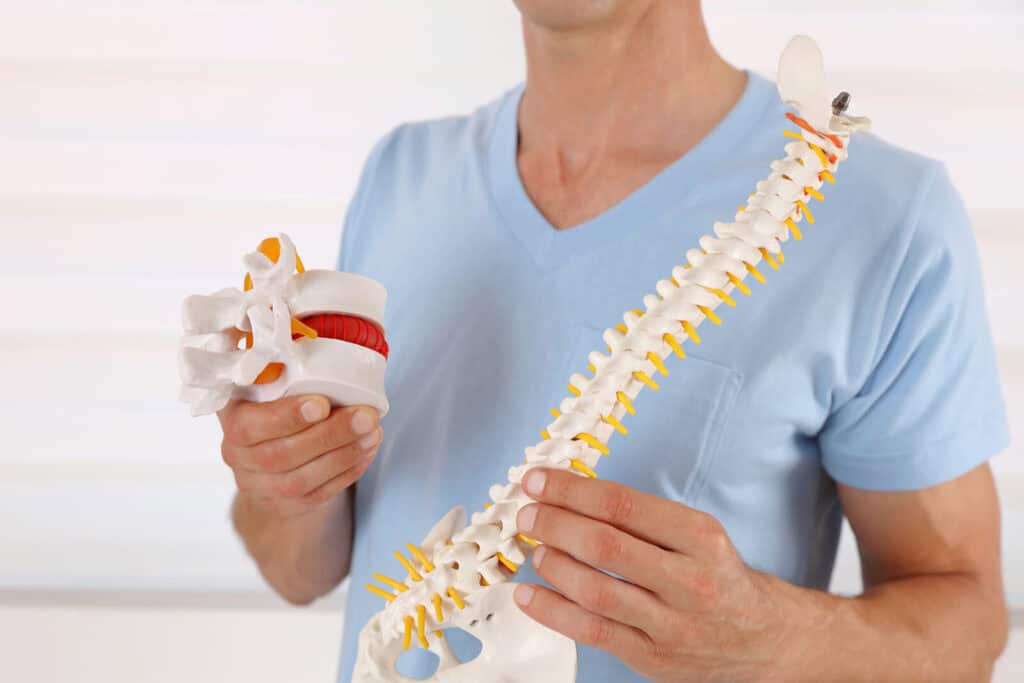 Doctor holding a spine model  | Ways decompression therapy can help your spine